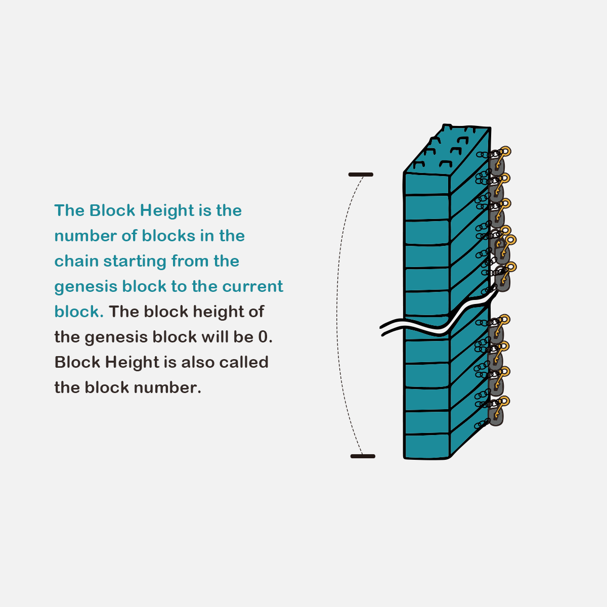 Block Height